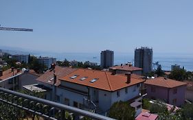 Apartments Jolly